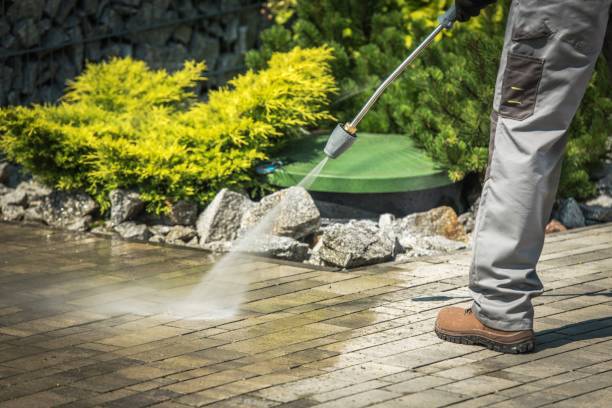 Best Driveway Pressure Washing  in Vauxhall, NJ