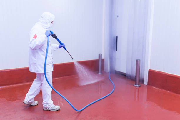 Paint Preparation in Vauxhall, NJ